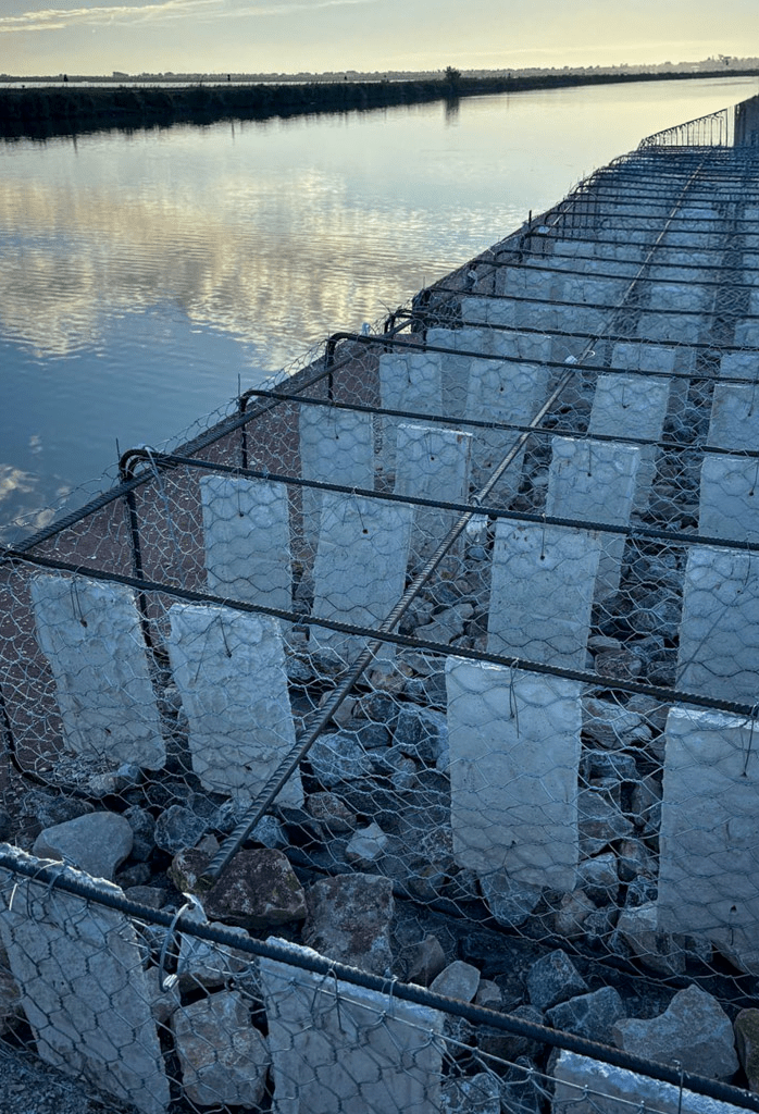 Terragena_Blog_Progettp_MER_BESE_6