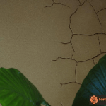 copertina corsi terra