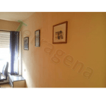 pittura in argilla pesca