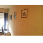 pittura in argilla pesca