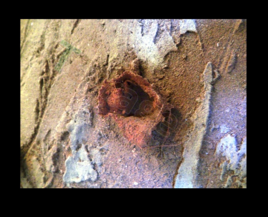 restauro iin argilla 25